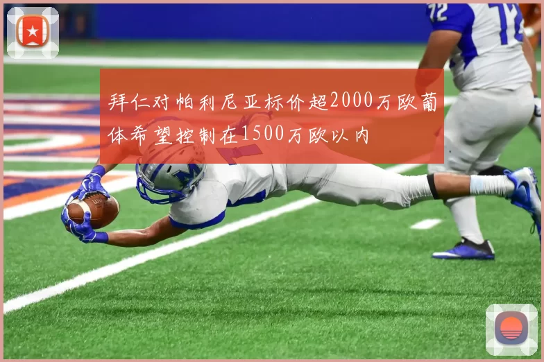 拜仁对帕利尼亚标价超2000万欧葡体希望控制在1500万欧以内