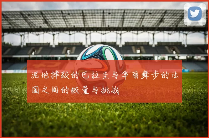 泥地摔跤的巴拉圭与华丽舞步的法国之间的较量与挑战