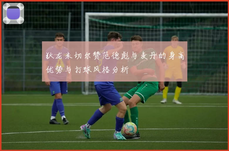 狄龙米切尔赞范德彪与麦丹的身高优势与打球风格分析