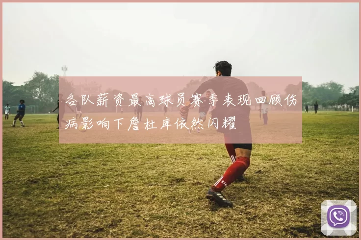 各队薪资最高球员赛季表现回顾伤病影响下詹杜库依然闪耀